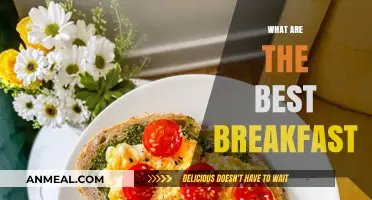 Delicious and Nutritious: Top Breakfast Ideas to Start Your Day Right