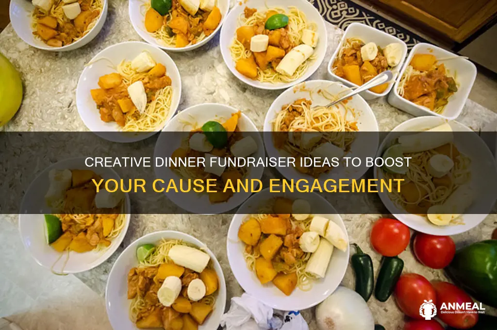 what are the best dinner fundraisers ideas