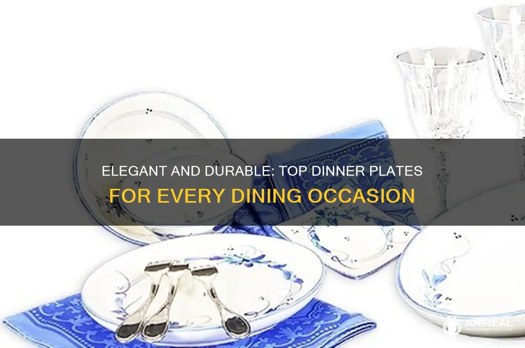 what are the best dinner plates
