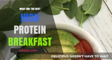 High-Protein Breakfast Ideas to Fuel Your Morning Energy Boost