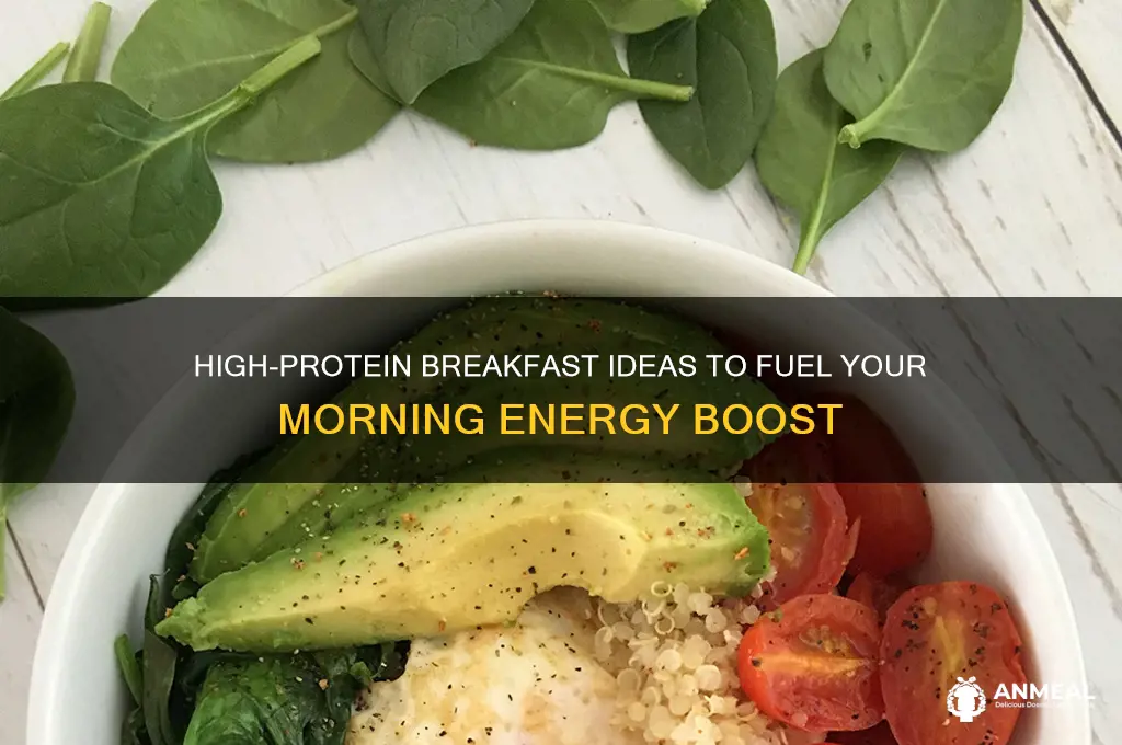 what are the best high protein breakfast