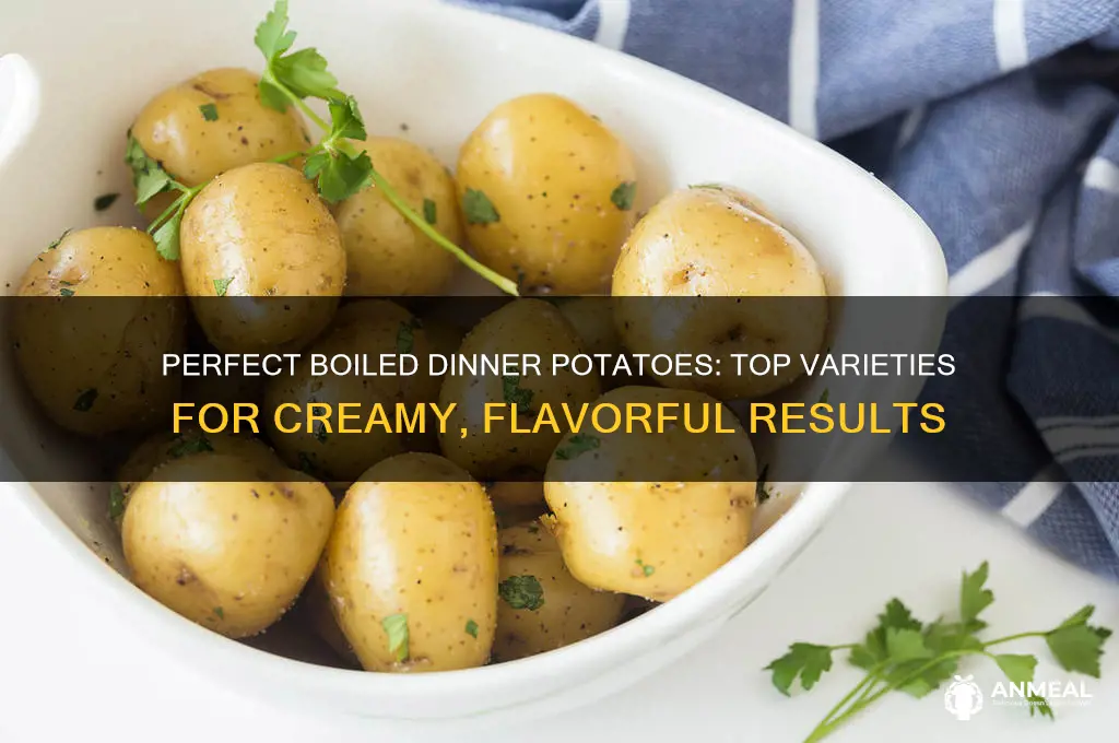what are the best potatoes for boiled dinner