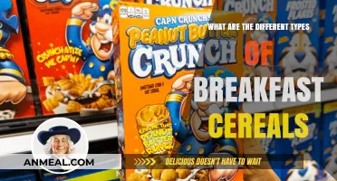 Exploring the Diverse World of Breakfast Cereals: Types and Varieties