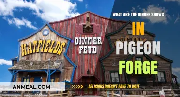 Pigeon Forge Dinner Shows: Unforgettable Entertainment and Delicious Meals