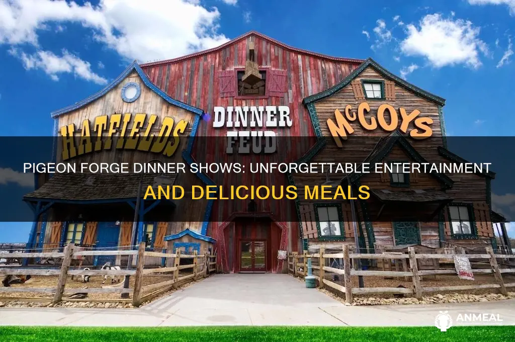 what are the dinner shows in pigeon forge