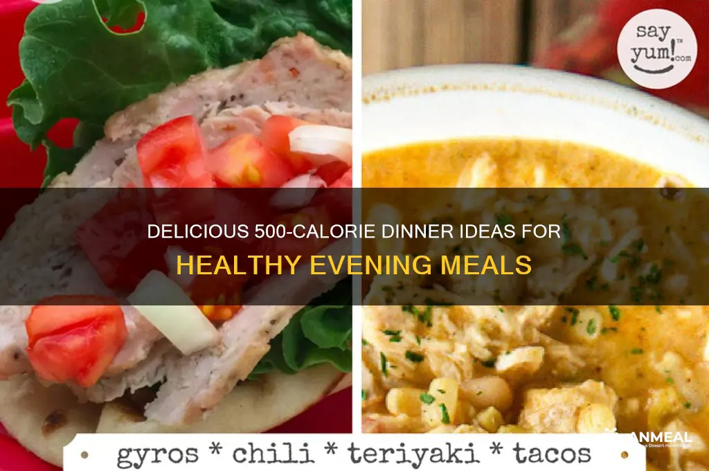 what are the foods in a 500 calorie dinner