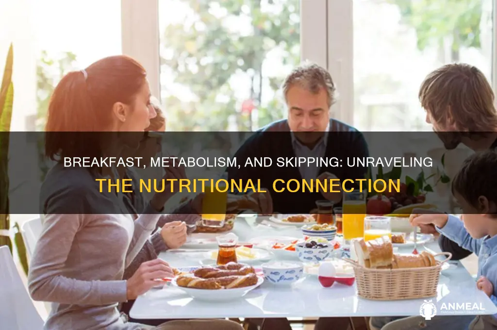 what are the links between breakfast metabolism and skipping breakfast