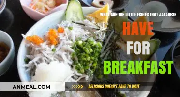 Tiny Japanese Breakfast Fish: Exploring the Tradition of Eating Shirasu
