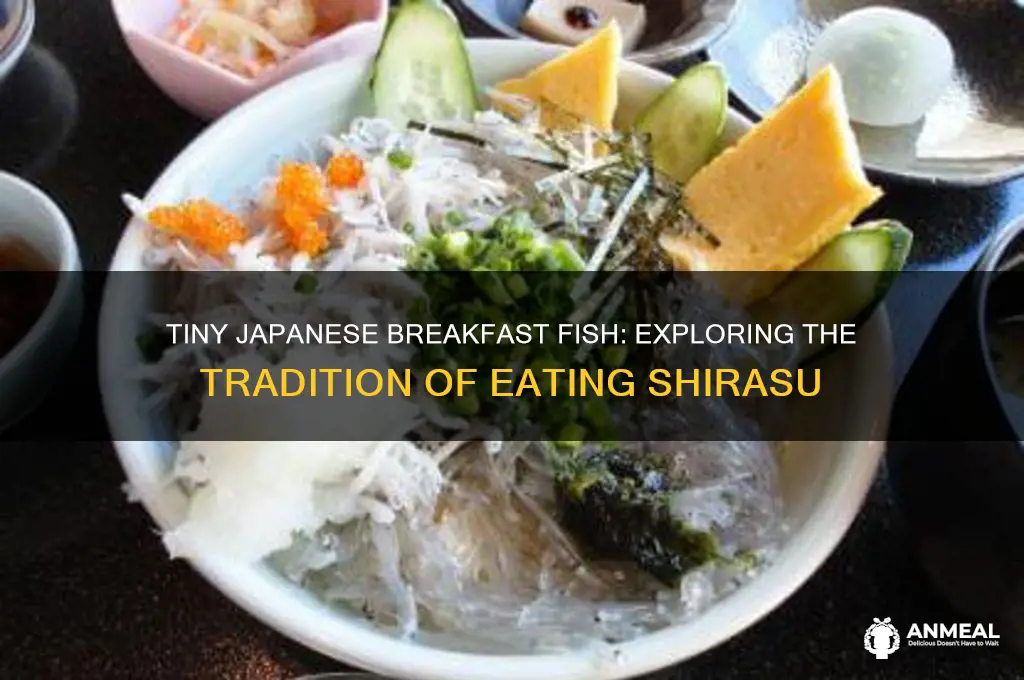 what are the little fishes that japanese have for breakfast