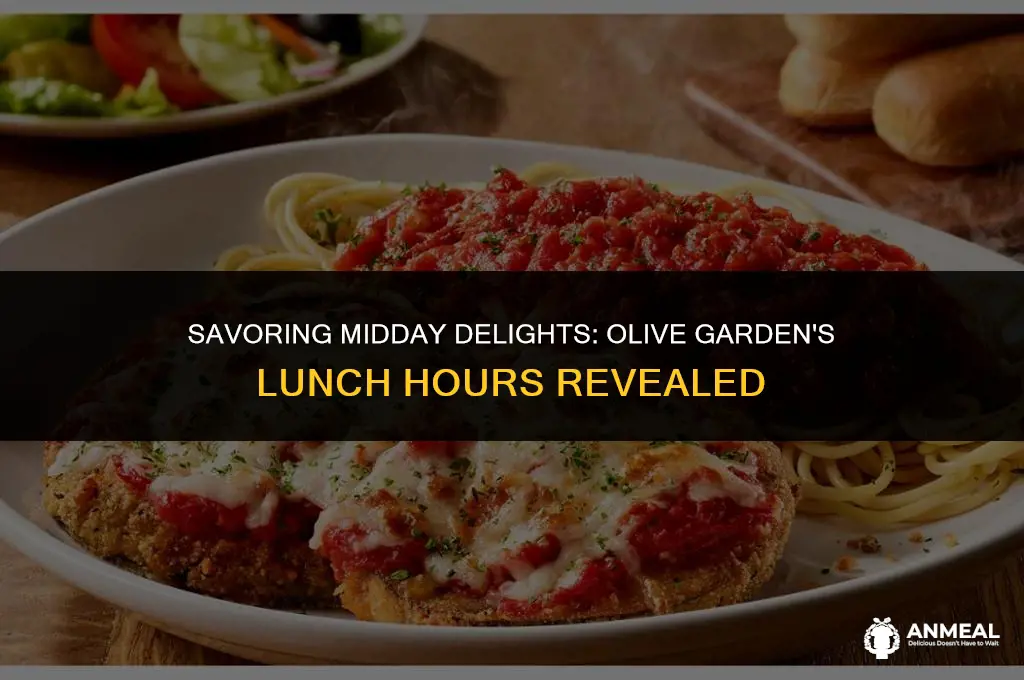 what are the lunch hours at olive garden