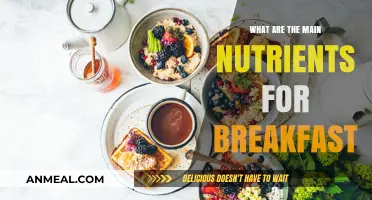 Essential Nutrients for a Healthy and Energizing Breakfast