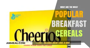 Top Breakfast Cereals: Crunchy Morning Favorites Everyone Loves to Enjoy