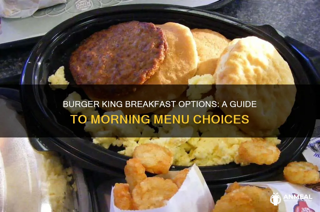 what are the options for burger king breakfast