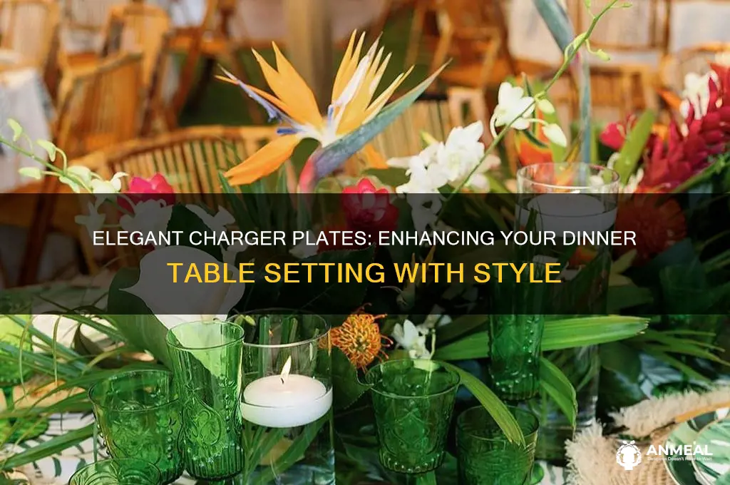 what are the plates that you put dinner plates on