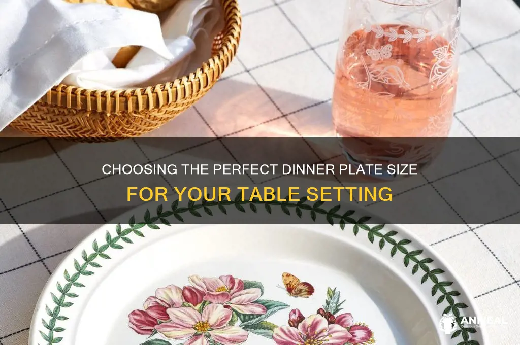 what are the size of dinner plates