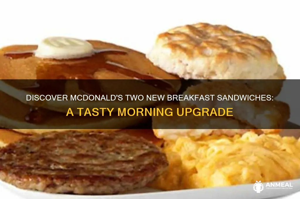 what are the two new breakfast sandwich at mcdonles