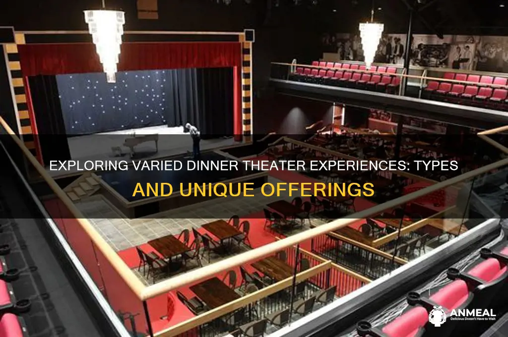 what are the types of dinner in theaters