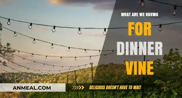 What’s for Dinner? Exploring the Viral 'Vine' Food Trend
