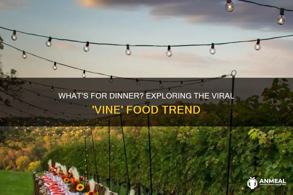 what are we having for dinner vine