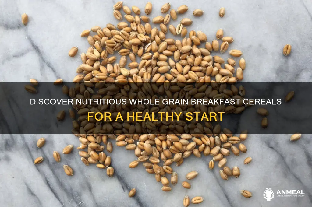 what are whole grain breakfast cereals