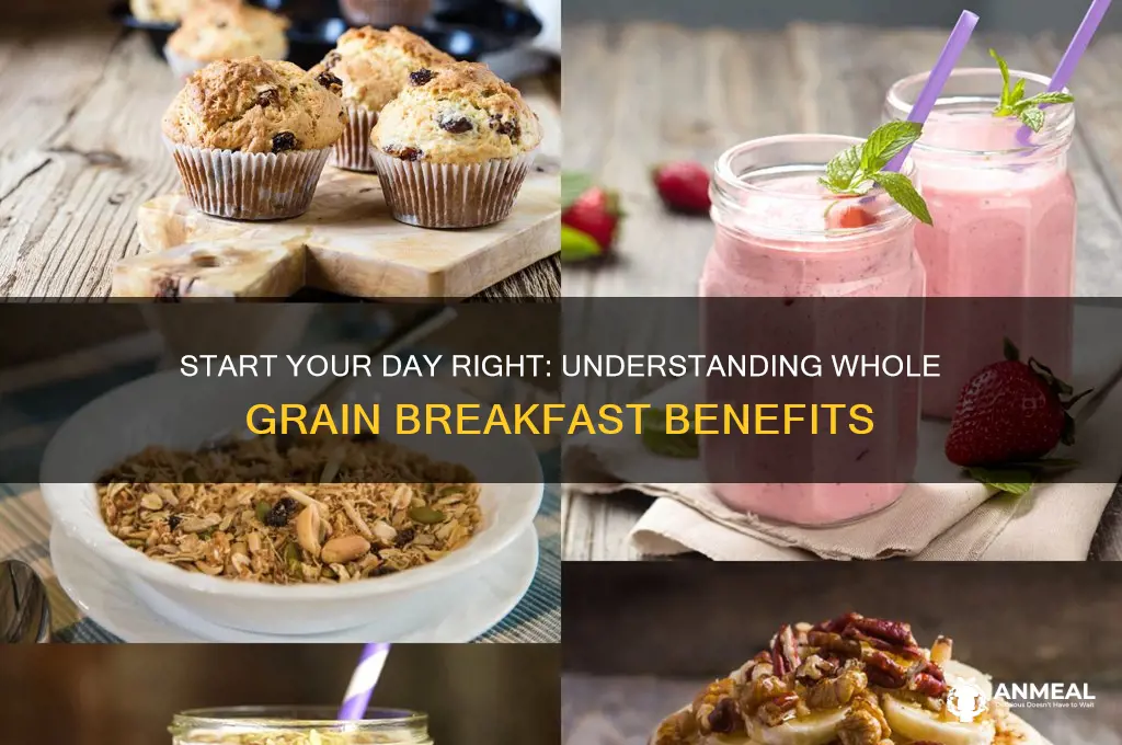 what are whole grain breakfast