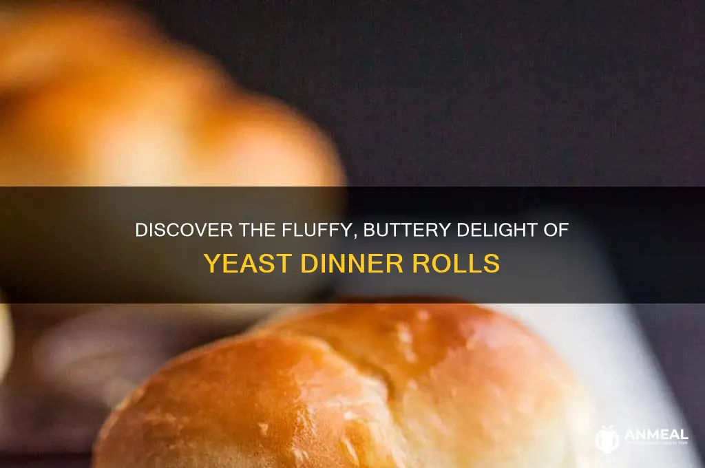 what are yeast dinner rolls