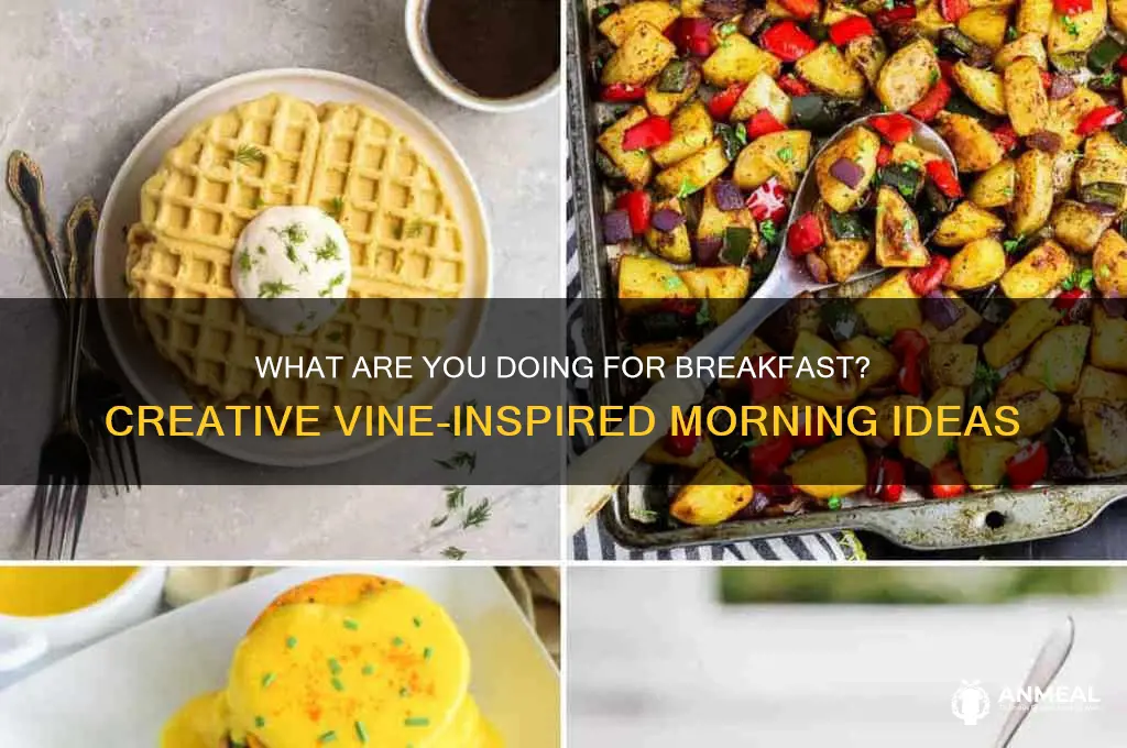 what are you doing breakfast vine