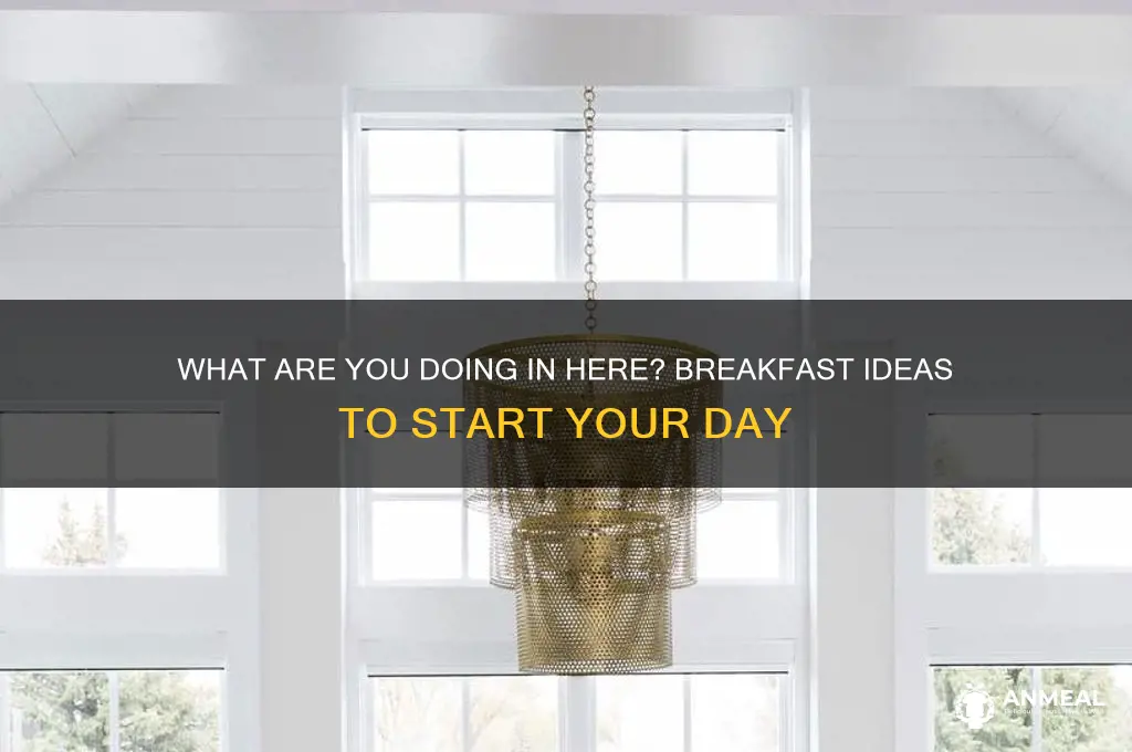 what are you doing in here breakfast