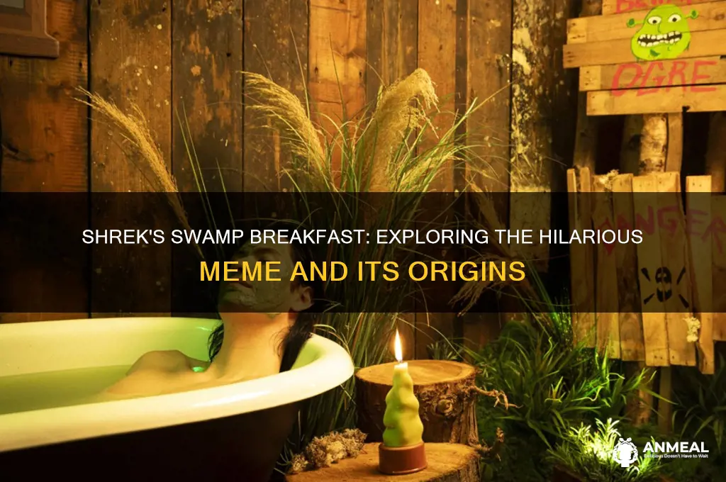 what are you doing in my swamp breakfast