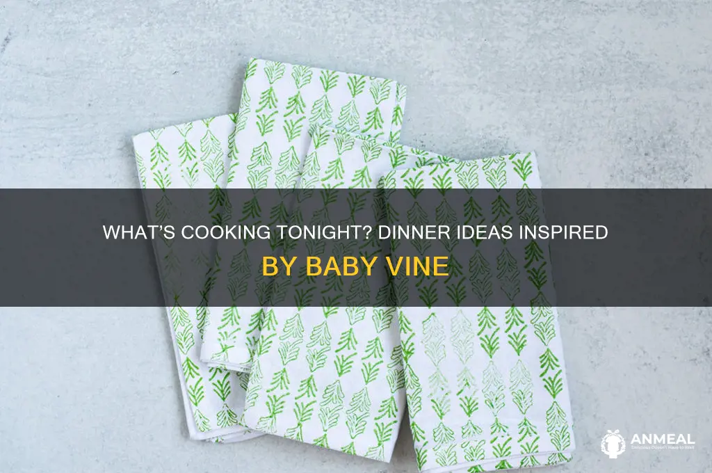 what are you making for dinner baby vine