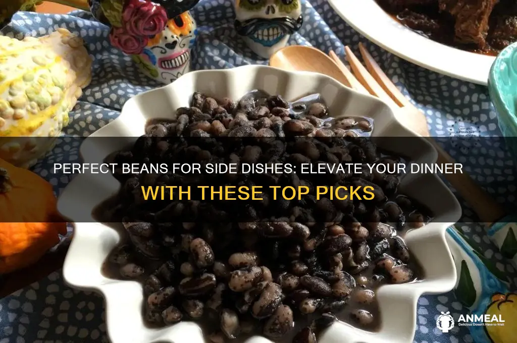 what beans are best for side dishes for dinner