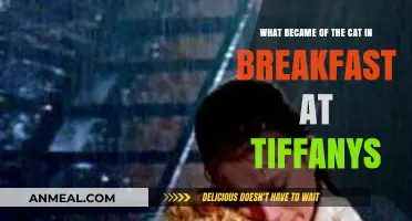 Breakfast at Tiffany's Cat: Its Fate and Legacy Explored