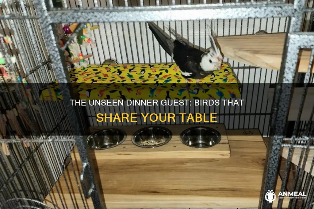 what bird is always with you at dinner table