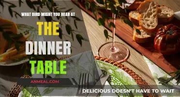 Dinner Table Chirps: Identifying Birds That Sing During Your Meals