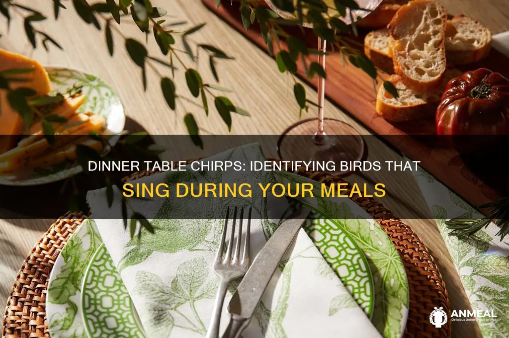 what bird might you hear at the dinner table