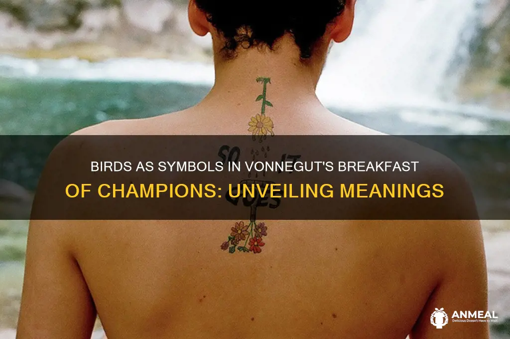 what birds represent in book breakfast of champions
