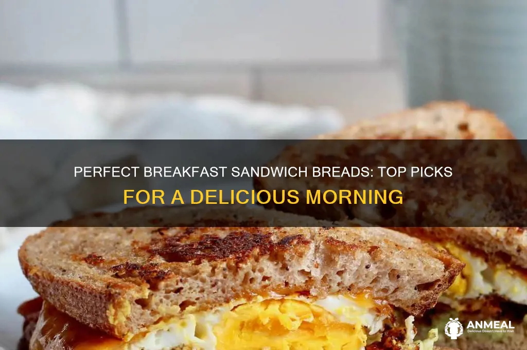 what bread for breakfast sandwiches