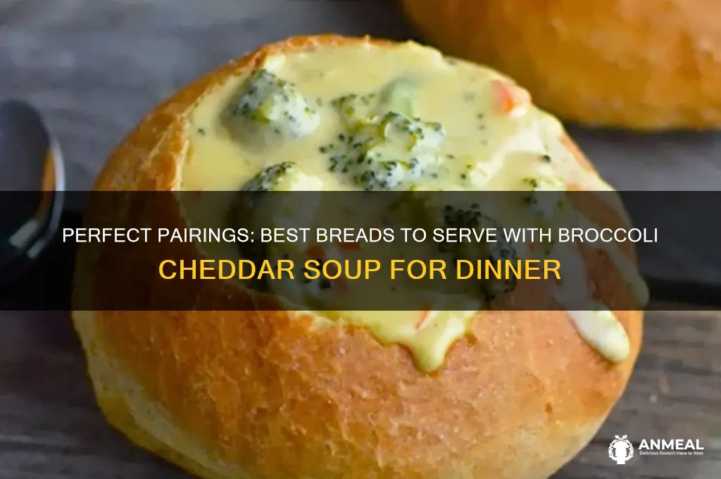 what bread goes with broccoli cheddar soup for dinner