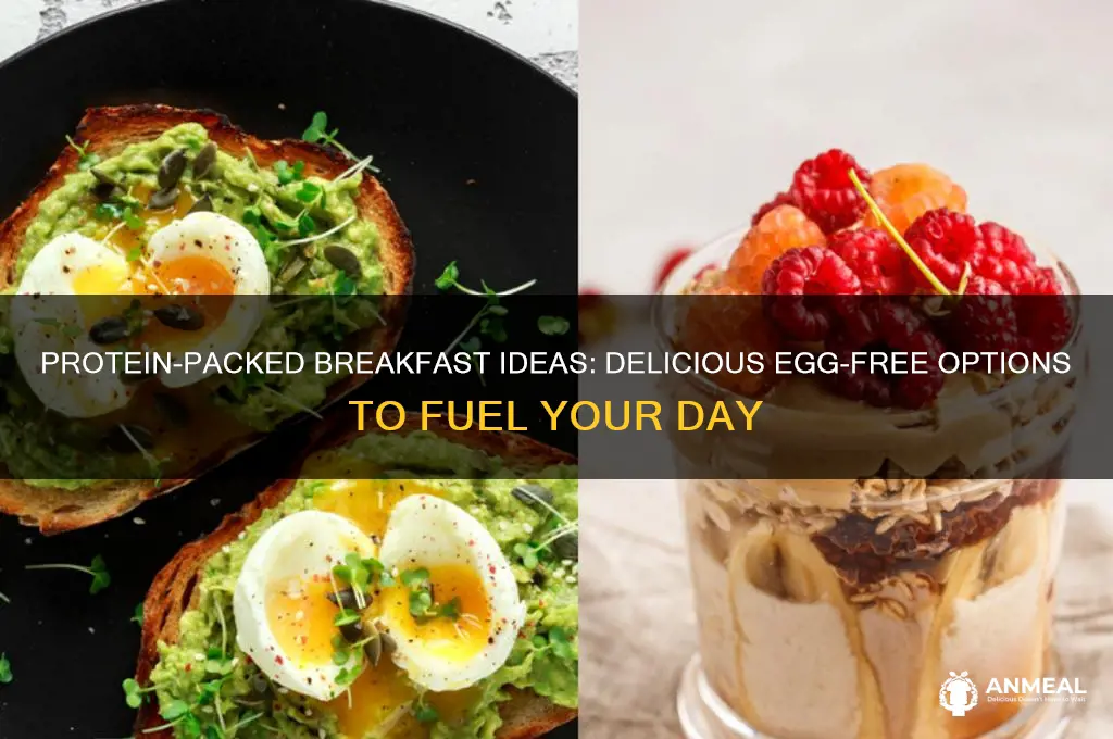 what breakfast besides eggs have a lot of protein