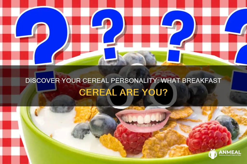 what breakfast cereal am i