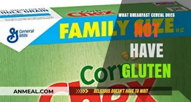 Gluten-Free Breakfast Cereals: Top Picks for a Healthy Morning