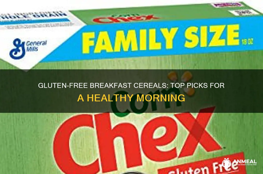 what breakfast cereal does not have gluten