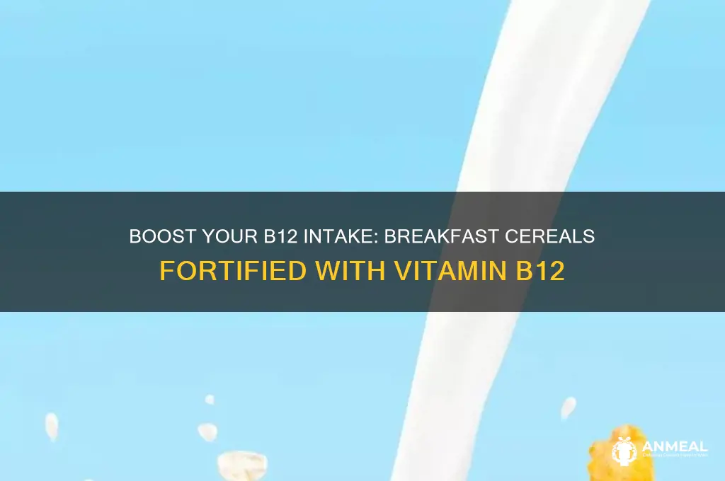 what breakfast cereal has b12 in it