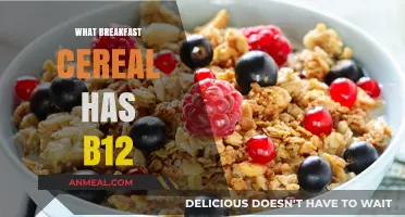 Boost Your B12 Intake: Top Breakfast Cereals Fortified with Vitamin B12