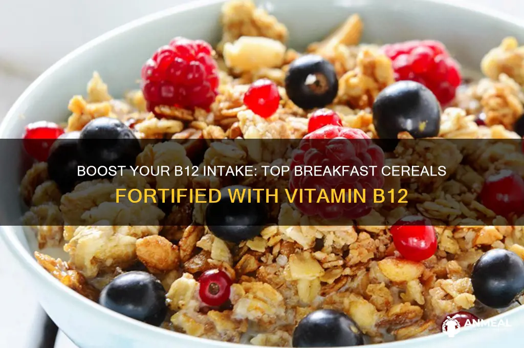 what breakfast cereal has b12