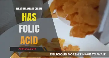 Folic Acid-Rich Breakfast Cereals: Top Picks for a Healthy Start