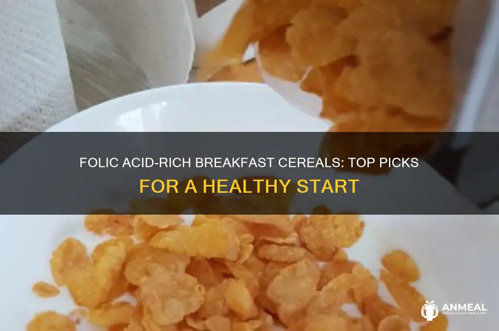 what breakfast cereal has folic acid