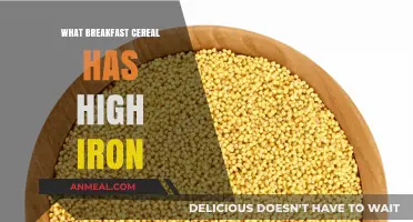 Iron-Rich Breakfast Cereals: Top Picks for a Nutrient-Packed Morning