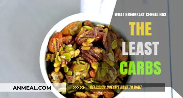 Low-Carb Breakfast Cereal Guide: Top Picks for a Healthy Start