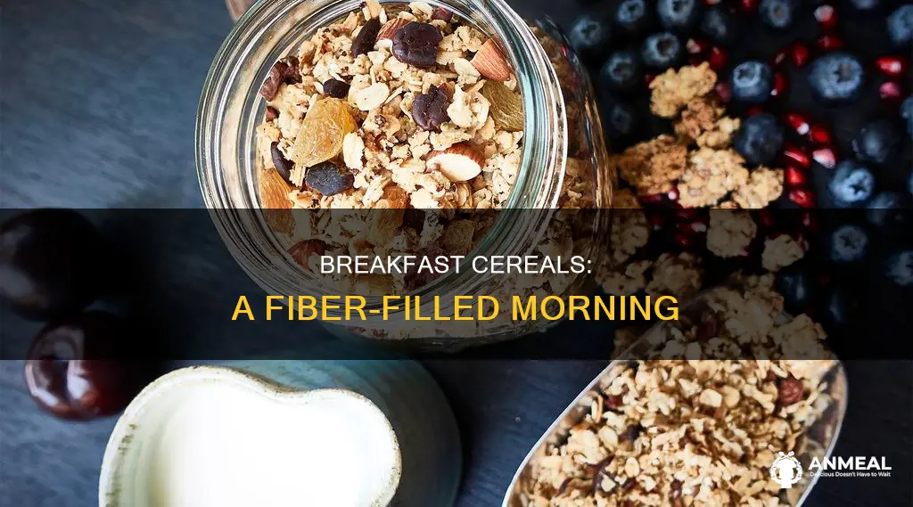 what breakfast cereal has the most fiber